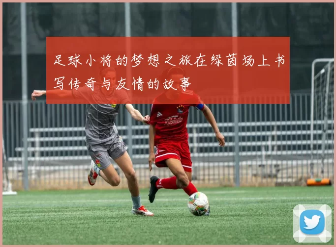 足球小将的梦想之旅在绿茵场上书写传奇与友情的故事